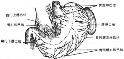 θ���ܰ�����