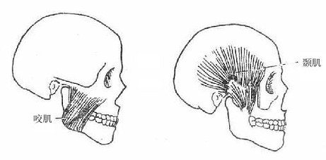 ҧ���;���