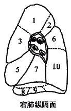 �ҷ�
