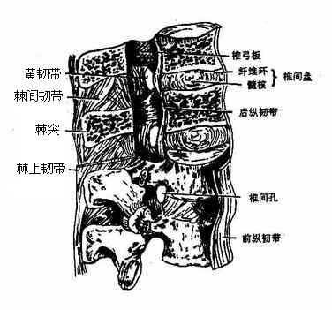 �������ʹ�