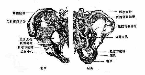 ������ʹ�