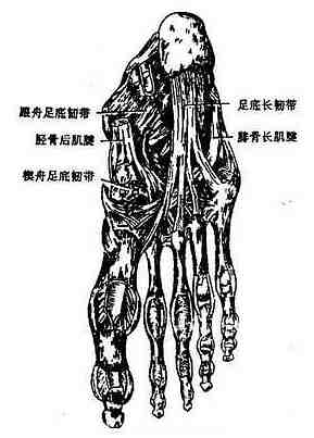 �����Ҫ�ʹ�