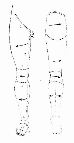 ��֫��Ƥ���п�