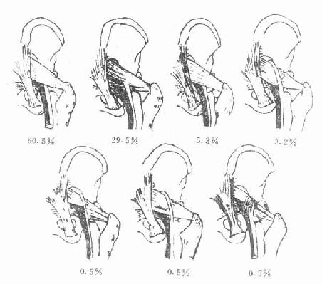 ����������״���Ĺ�ϵ����