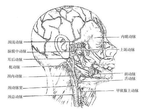 ���⶯�������֧