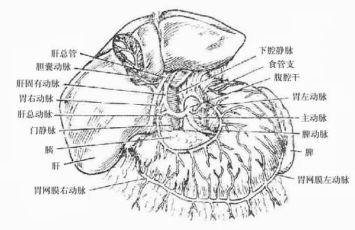 ��ǻ�ɼ����֧