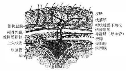 ­����Σ���״���棩