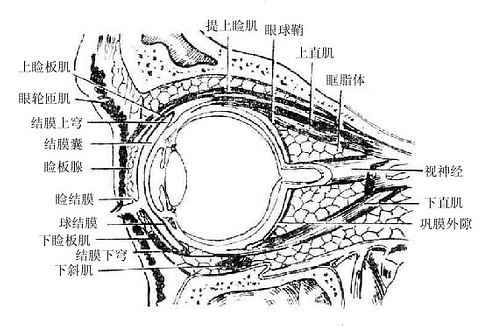�ۿ���ʸ״���棩