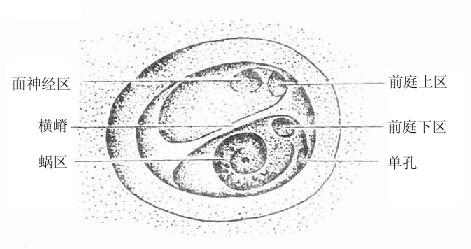 �ڶ�����