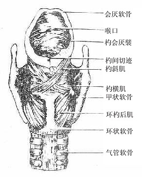 ���������棩