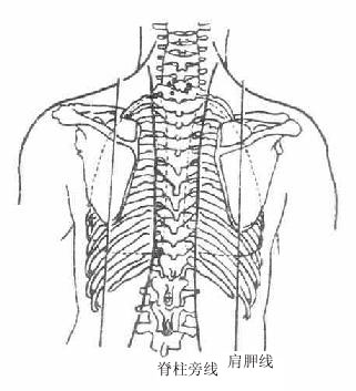 �ز���־�ߣ����棩