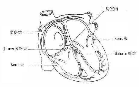 ����ĸ�������