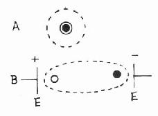电介质原子无电场和有电场作用时的电荷分布