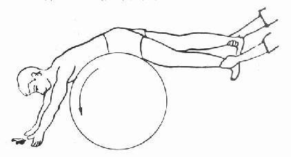 用大体操球的前方上肢防护性伸展反应的训练