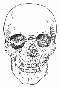 ���ǹ��ۢ�