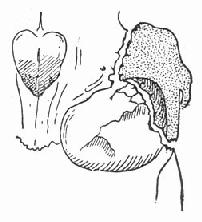 ȧ�Ǽ�ȧ�ǹ�����