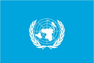 联合国旗子