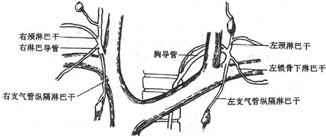 ���ܰ͵��ܼ��ص���ע�뾲��