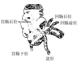 ��β�ĳ���λ��