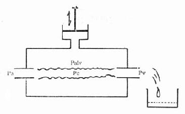 ���ͷ�ëϸѪ����Χѹ����ģ��