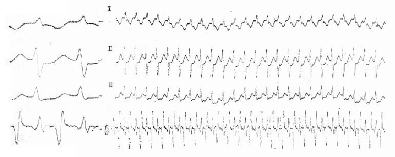 ��·�۷��������ĵ�ͼ