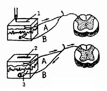 ��ͻ����ͼ