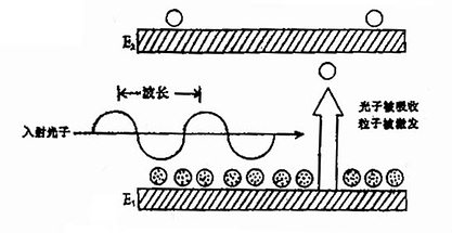 ���⣨����������