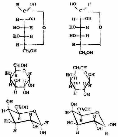 ��-D-��૰����Ǧ�-D-��૰�����