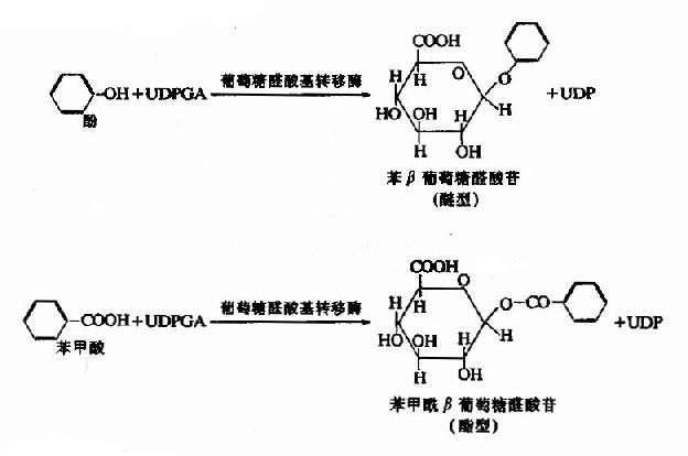 ������ȩ���Ϸ�Ӧ