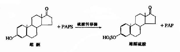 �����Ϸ�Ӧ