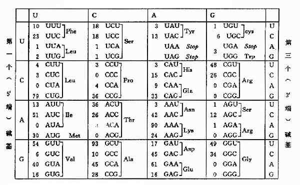 �����Ӻͷ������ӵ��໥����