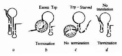 ���ֲ�ͬ�����A��B��C�γɷ��нṹ��״̬
