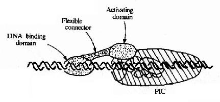 ת¼������ת¼�������໥����ģʽͼ