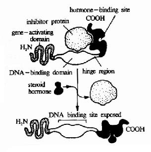 ��̴����ؼ�����������û���ʾ��ͼ