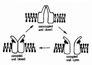 ����������������ֹ���ʾ��ͼ