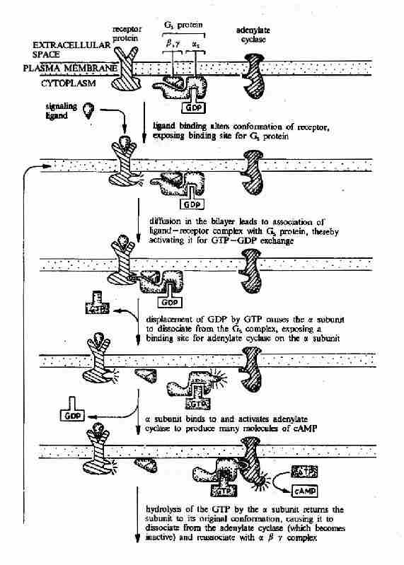 G����ż�������壭G���ף������ỷ��ø�ź�ת��;��ʾ��ͼ