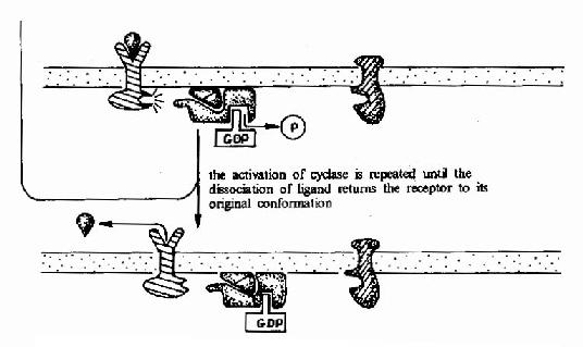G����ż�������壭G���ף������ỷ��ø�ź�ת��;��ʾ��ͼ
